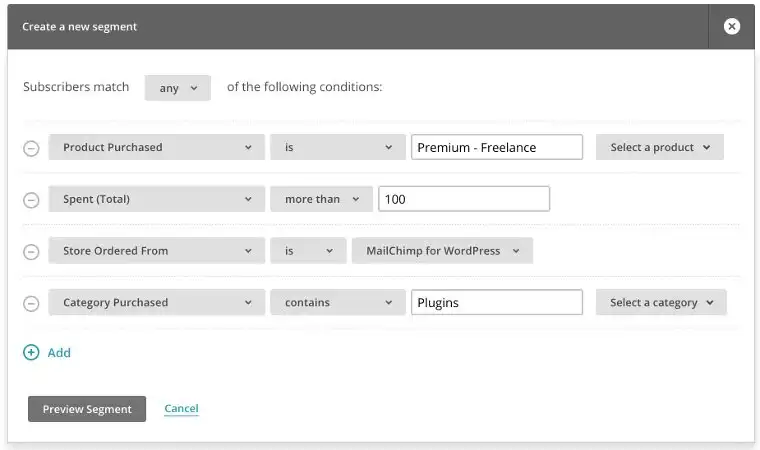 Sample of the available e-commerce segmentation rules