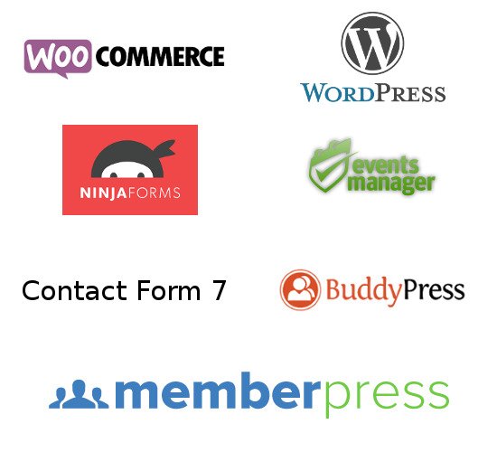 Mailchimp for WordPress - the best Mailchimp plugin for WordPress